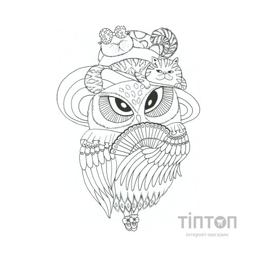 Книга Майже мільйон сов - Лулу Майо Жорж (9786177579006)