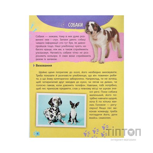 Книга Мініенциклопедія. Хатні улюбленці Vivat (9789669827241)