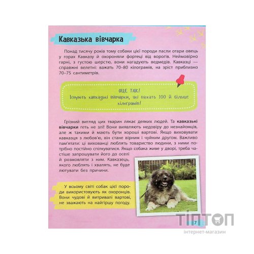 Книга Мініенциклопедія. Хатні улюбленці Vivat (9789669827241)
