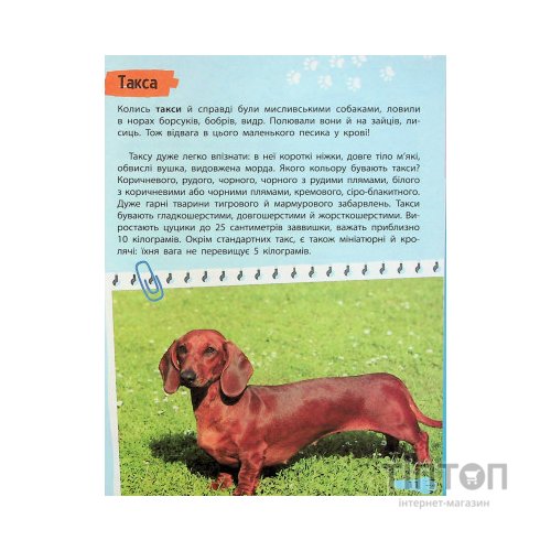 Книга Мініенциклопедія. Хатні улюбленці Vivat (9789669827241)