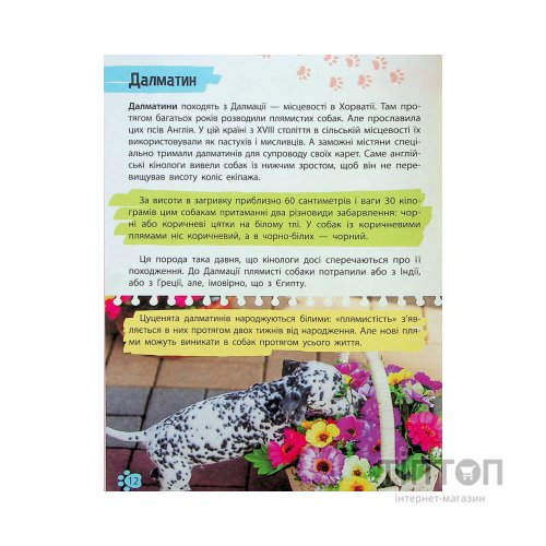 Книга Мініенциклопедія. Хатні улюбленці Vivat (9789669827241)