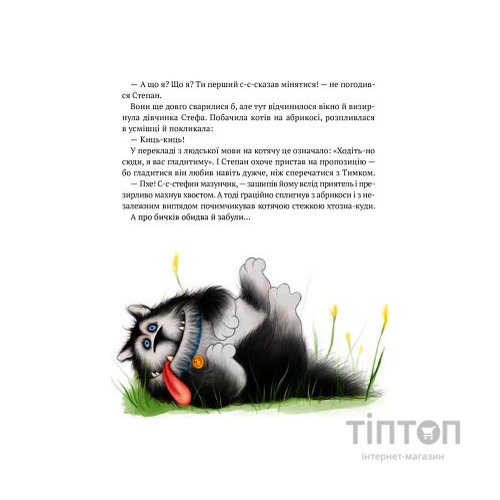 Книга Морськосвинський детектив - Iван Андрусяк Vivat (9789669821508)