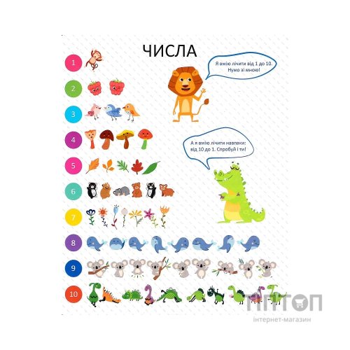 Книга Мої перші цифри - Ольга Шевченко Vivat (9789669827456)