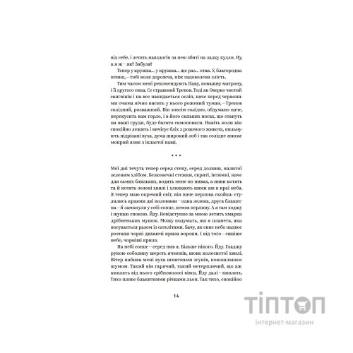 Книга Михайло Коцюбинський. Вибрані твори Yakaboo Publishing (9786178107956)