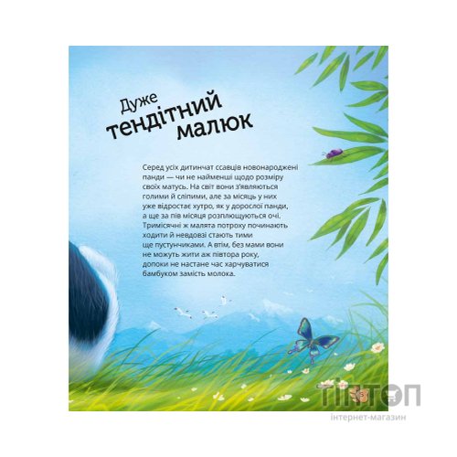 Книга Наймиліші малюки тварин - Алехандро Альґарра Vivat (9786171705302)