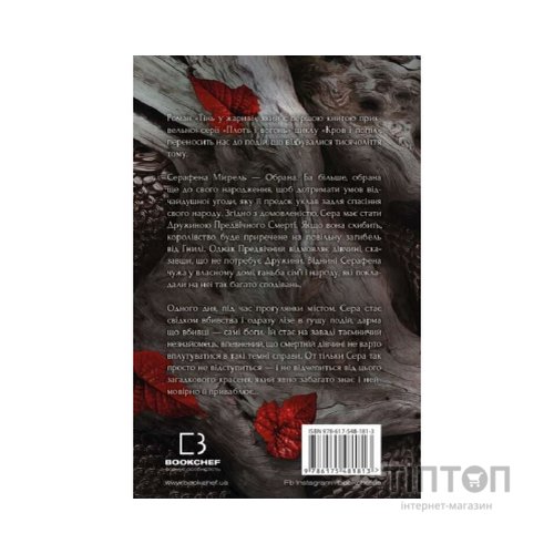 Книга Плоть і вогонь. Книга 1: Тінь у жариві - Дженніфер Л. Арментраут BookChef (9786175481813)