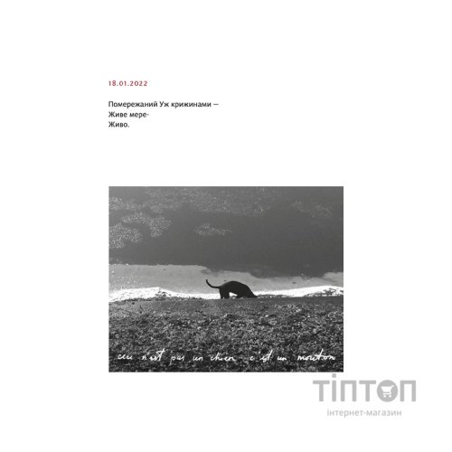 Книга PRIMITIVO - Мар'яна Прохасько Видавництво Старого Лева (9789664481042)