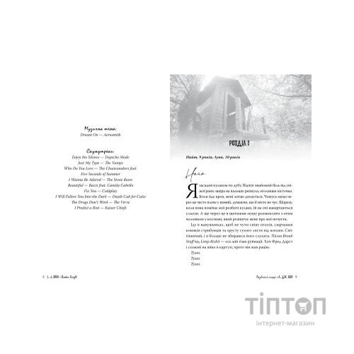 Книга Розбитий лицар - Л. Дж. Шен Видавництво РМ (9786178373283)