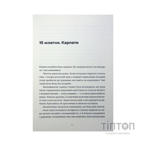 Книга Тамдевін. Бора - Галина Вдовиченко Видавництво Старого Лева (9789664483114)