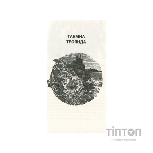 Книга Таємна троянда - Вільям Батлер Єйтс Астролябія (9786176641865)