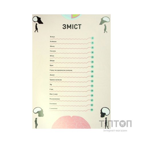 Книга Тіло людини - Кристина Перабоні Жорж (9786177853199)