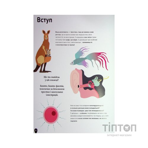 Книга Тіло людини - Кристина Перабоні Жорж (9786177853199)