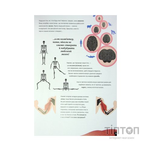 Книга Тіло людини - Кристина Перабоні Жорж (9786177853199)