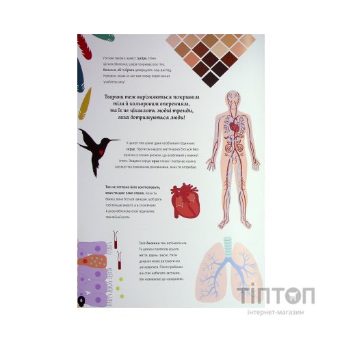 Книга Тіло людини - Кристина Перабоні Жорж (9786177853199)