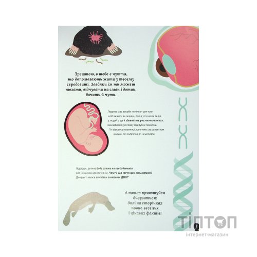 Книга Тіло людини - Кристина Перабоні Жорж (9786177853199)