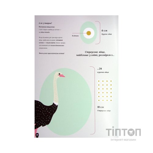 Книга Тіло людини - Кристина Перабоні Жорж (9786177853199)