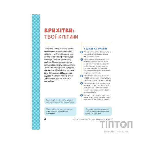 Книга Тіло людини. Розвивальні завдання для дітей - Кеті Стокс Vivat (9789669425218)