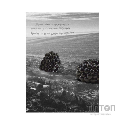 Книга Тут були ми - Артур Дронь Видавництво Старого Лева (9789664482421)