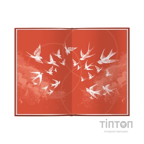 Книга Ув'язнити дику пташку. Книга 1 - Брук Фест КСД (9786171519817)