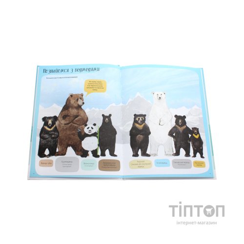 Книга Ведмежа книга - Кейті Віґґерс Жорж (9786177579624)