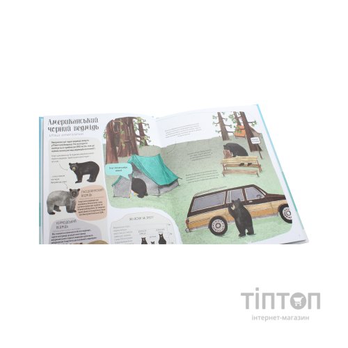 Книга Ведмежа книга - Кейті Віґґерс Жорж (9786177579624)