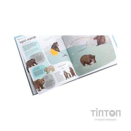 Книга Ведмежа книга - Кейті Віґґерс Жорж (9786177579624)