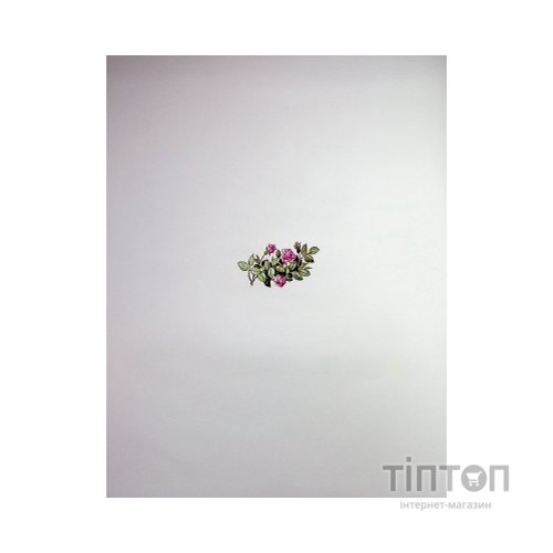 Книга Велика книга про фей і принцес - Пітер Холейнон Vivat (9786171704756)