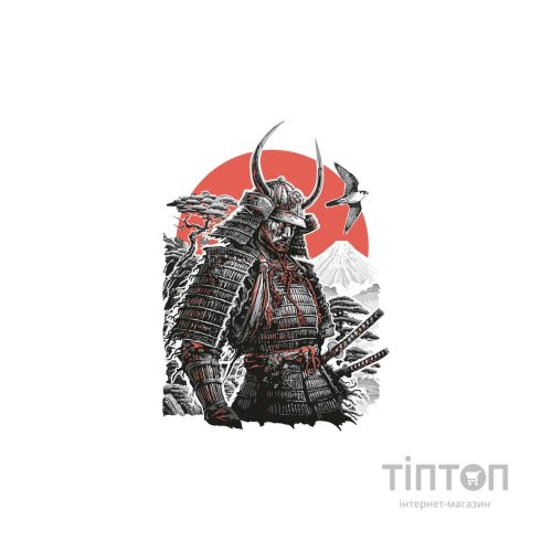 Книга Вітер, ліс, вогонь, гора - Ясусі Іноуе Астролябія (9786176643197)
