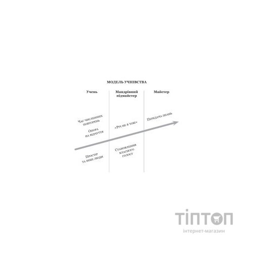 Книга Як стати експертом. Шлях до майстерності - Роджер Нібон Vivat (9789669827197)