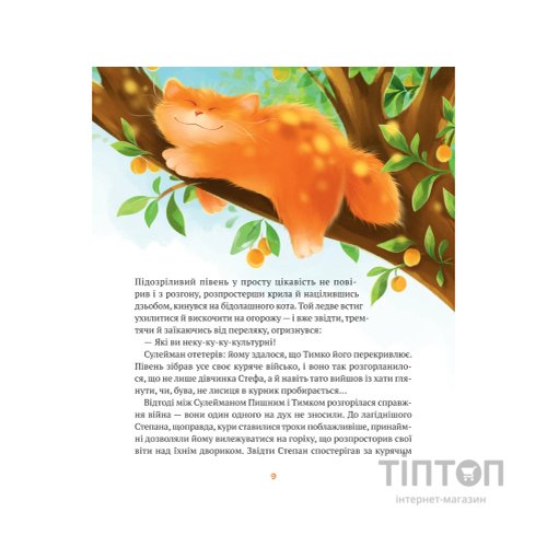 Книга Жерар на Витiвцi - Iван Андрусяк Vivat (9789669826558)