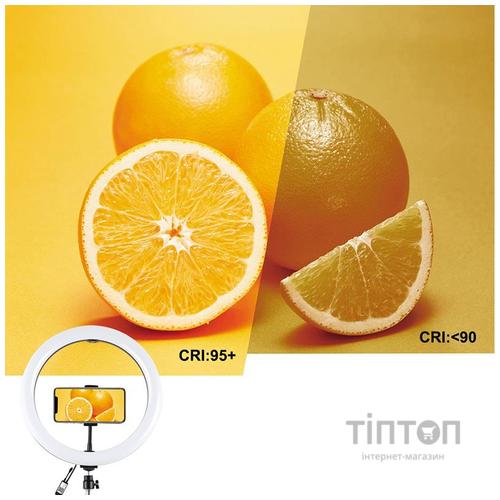Набір блогера Puluz Ring LED lamp 12"+ tripod 1.1m (PKT3050EU)