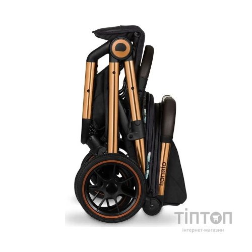 Коляска Lionelo Cloe Golden Moments (LO-CLOE GOLDEN MOMENTS)