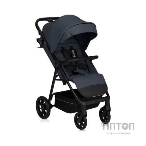 Коляска Lionelo Julie Iva Grey Concrete (LO-IVA GREY GRAPHITE)
