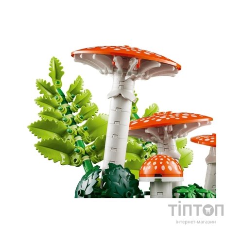 Конструктор LEGO Botanicals Лісові гриби (11505)