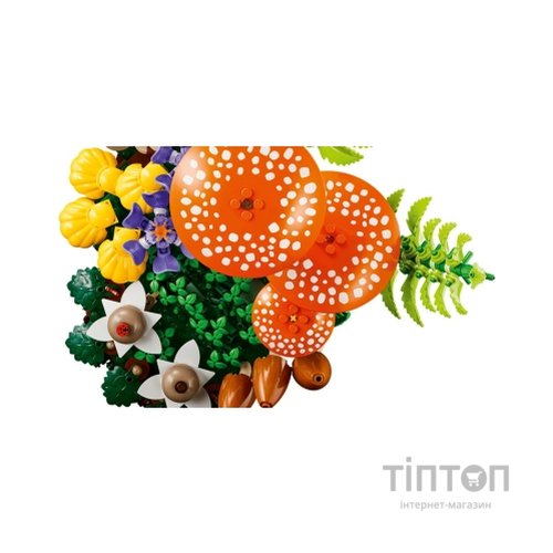 Конструктор LEGO Botanicals Лісові гриби (11505)