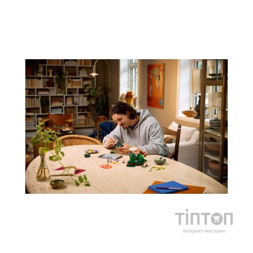 Конструктор LEGO Botanicals Лісові гриби (11505)