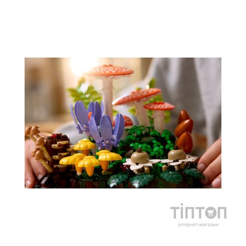 Конструктор LEGO Botanicals Лісові гриби (11505)