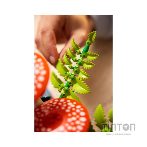 Конструктор LEGO Botanicals Лісові гриби (11505)