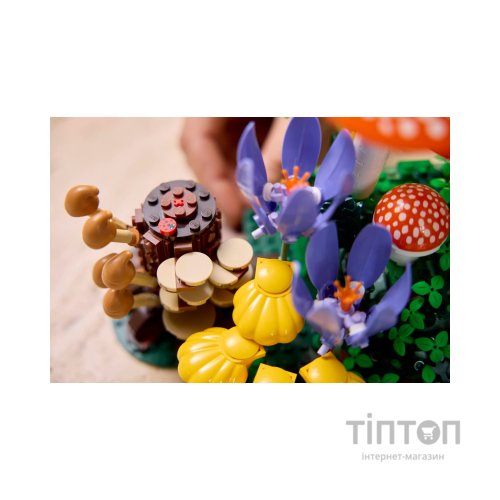 Конструктор LEGO Botanicals Лісові гриби (11505)