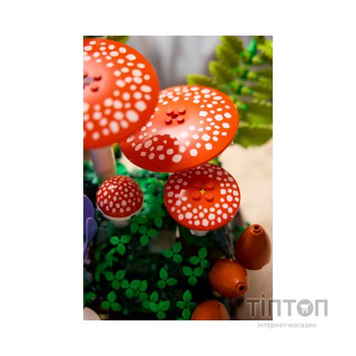 Конструктор LEGO Botanicals Лісові гриби (11505)
