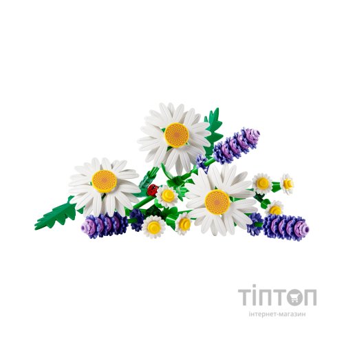 Конструктор LEGO Botanicals Ромашки (11508)