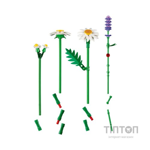 Конструктор LEGO Botanicals Ромашки (11508)