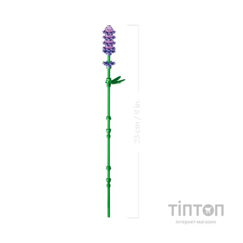 Конструктор LEGO Botanicals Ромашки (11508)