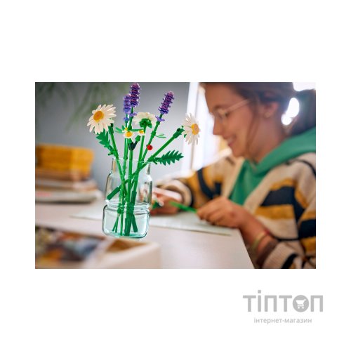 Конструктор LEGO Botanicals Ромашки (11508)