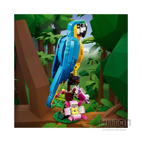 Конструктор LEGO Creator Екзотичний папуга 253 деталі (31136)