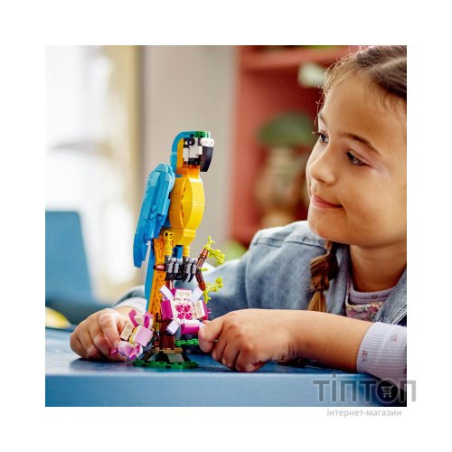 Конструктор LEGO Creator Екзотичний папуга 253 деталі (31136)