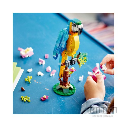 Конструктор LEGO Creator Екзотичний папуга 253 деталі (31136)