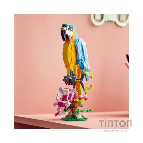 Конструктор LEGO Creator Екзотичний папуга 253 деталі (31136)