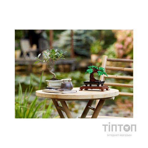 Конструктор LEGO Creator Expert Дерево бонсай 878 деталей (10281)