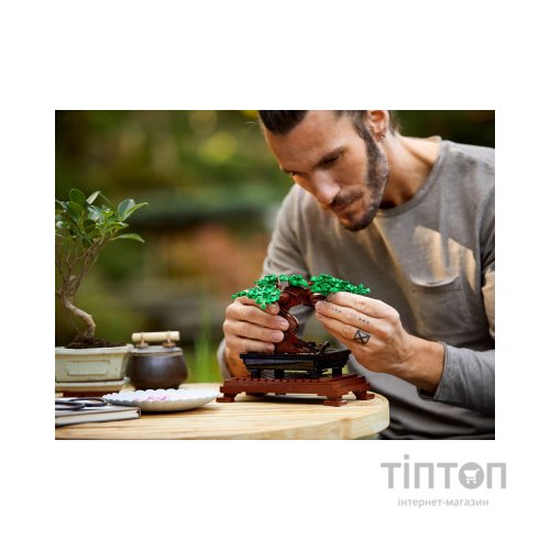 Конструктор LEGO Creator Expert Дерево бонсай 878 деталей (10281)